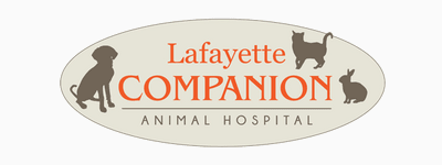 Lafayette Companion Animal Hospital, North Boulder Vet